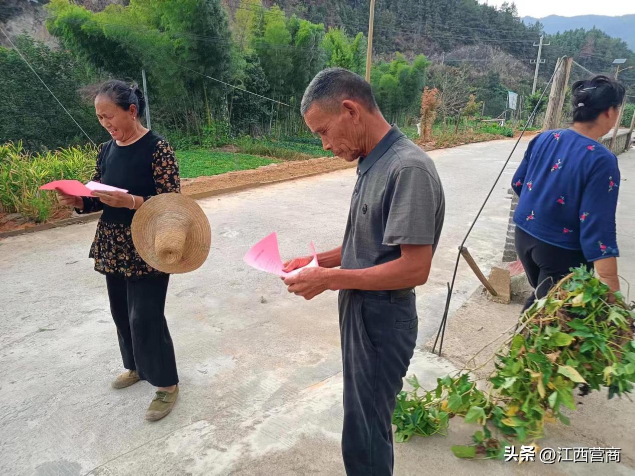 铜鼓最新新闻，小巷深处的味觉奇遇