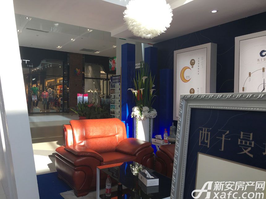 西子曼城最新,西子曼城最新，小巷深处的独特风情