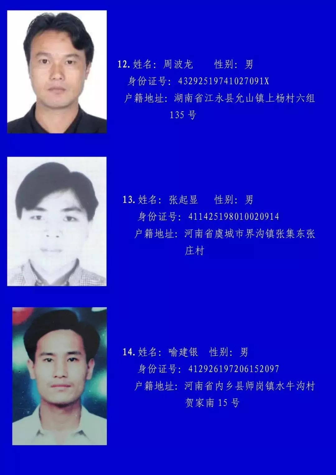 遂溪最新通缉名单揭秘，背后的故事与影响探究