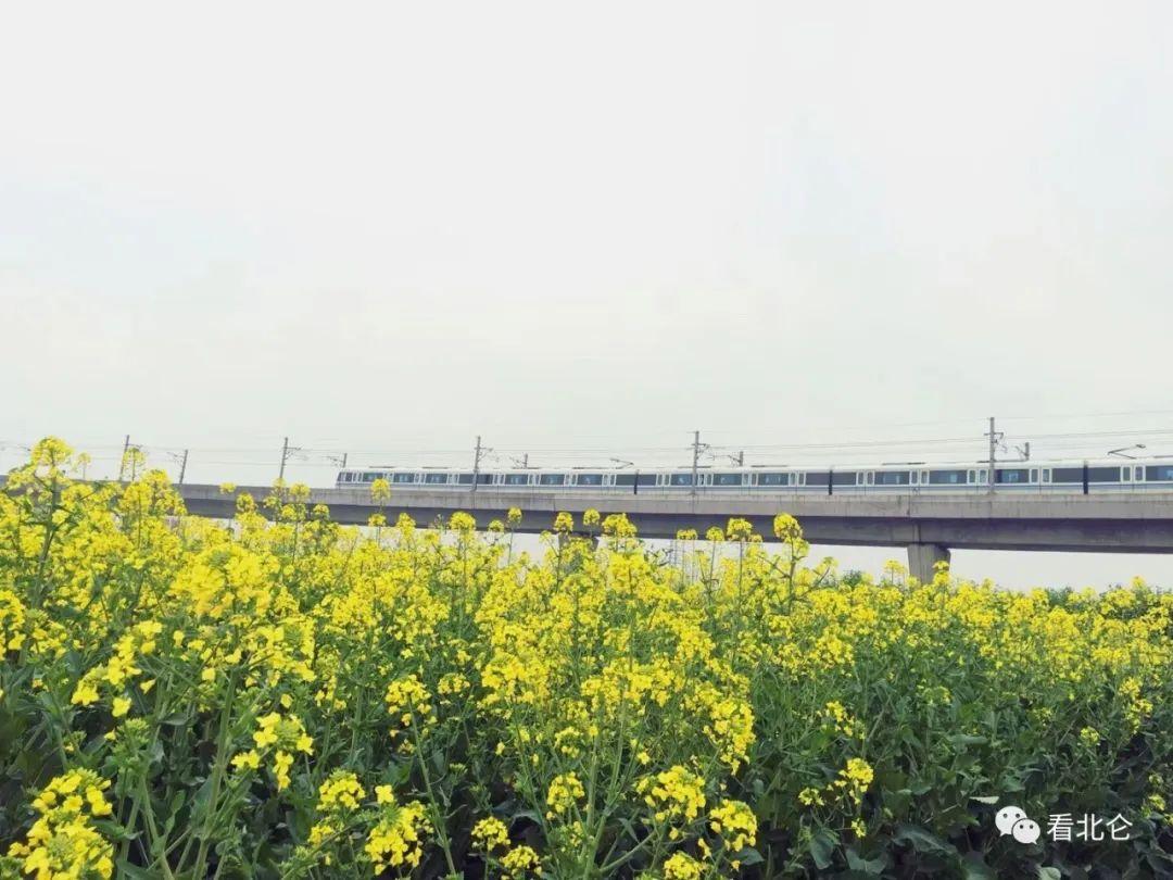 北仑春晓最新招工信息详解与分析报告