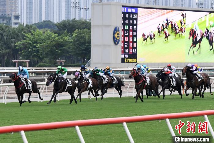 2024香港赛马全年免费资料,高效执行方案_超高清版71.422