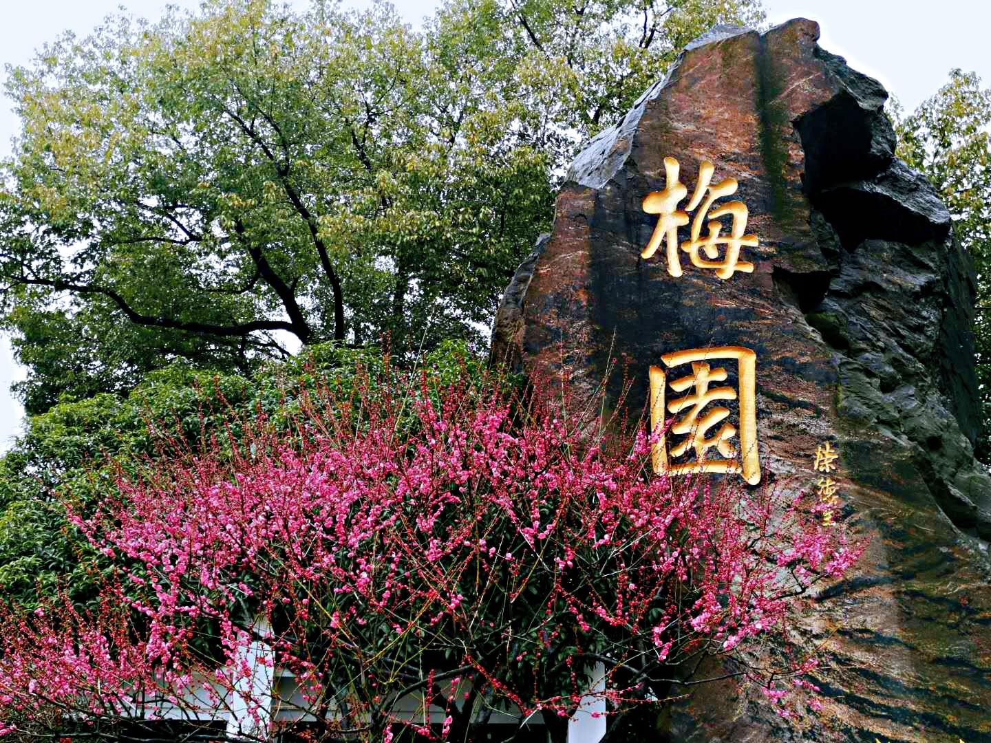 无锡梅系列高科技产品之旅，科技重塑生活，前沿梅系列新品探秘