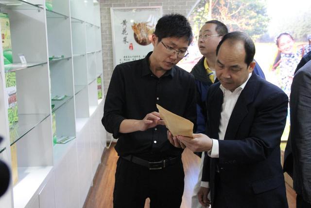 淮阳新农村最新动态概览