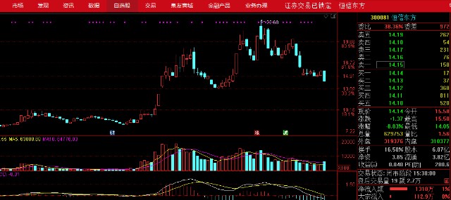 300081股票行情深度解析与观点论述