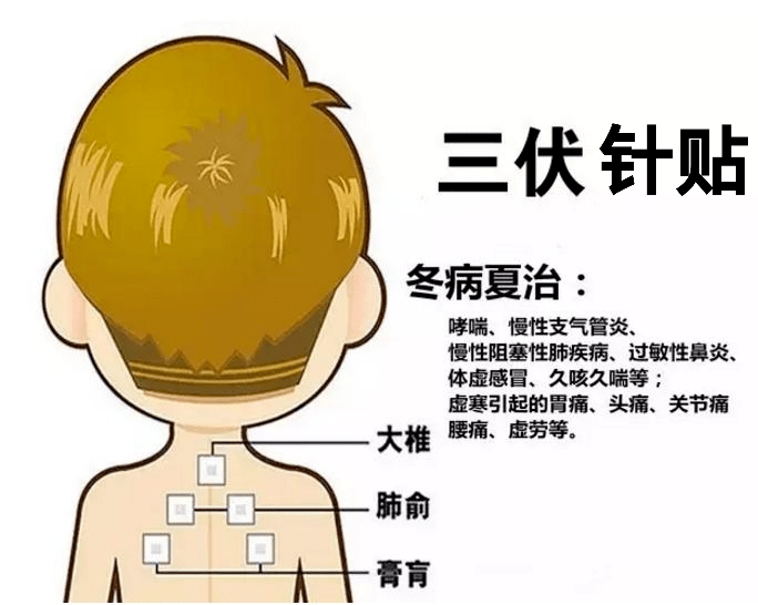 最新双向疗法详解，步骤指南与操作手册