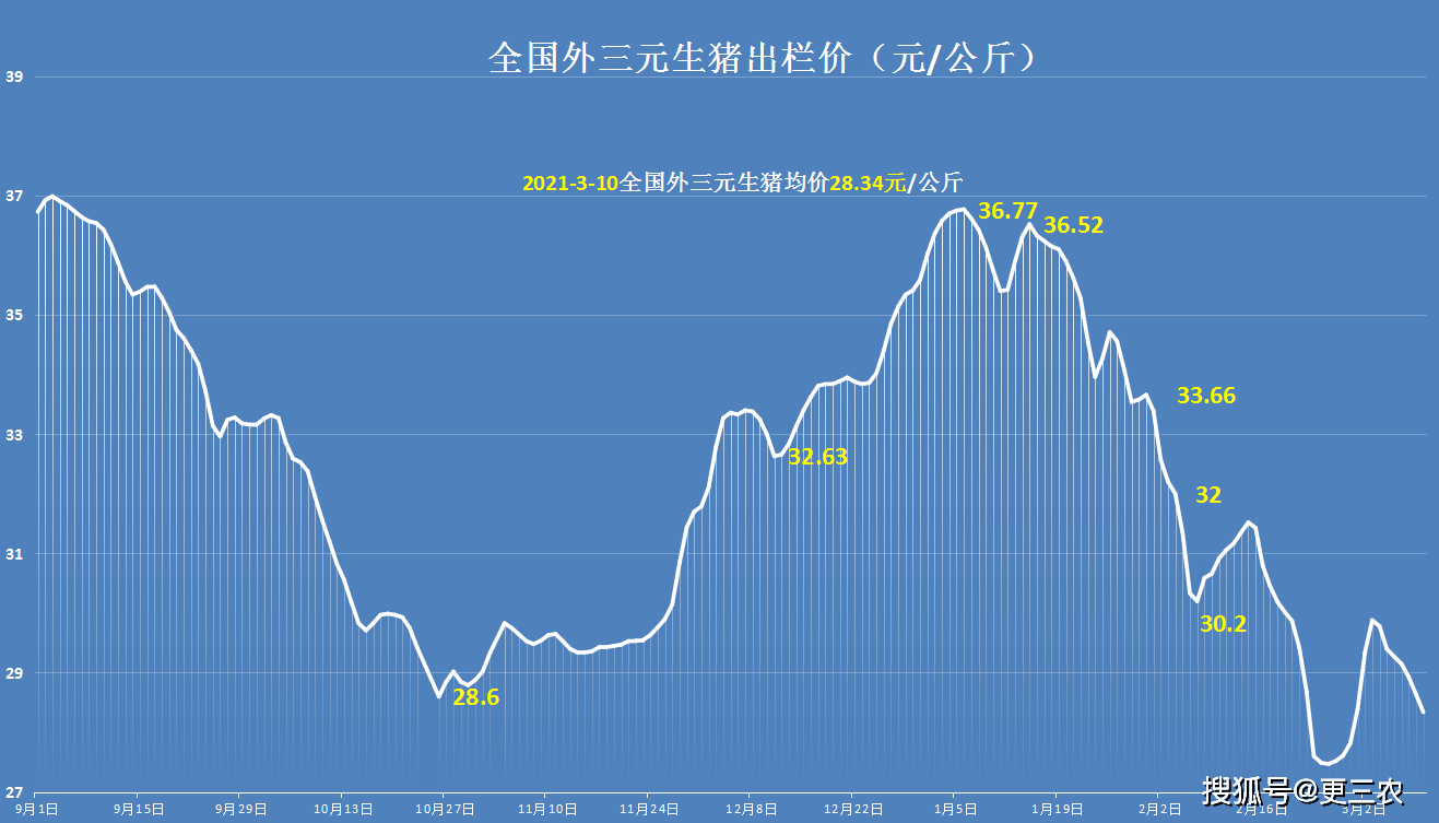 贵州今日猪价行情深度解析及市场分析📊🐖