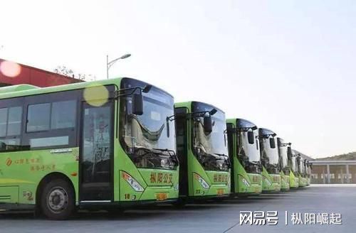 枞阳汤沟镇最新规划详解，从初学者到进阶用户的全方位指南
