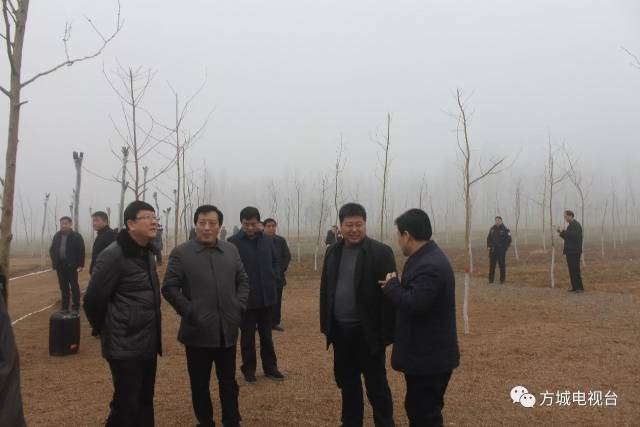 方城赵河最新新闻，科技前沿的高科技产品介绍与体验报告