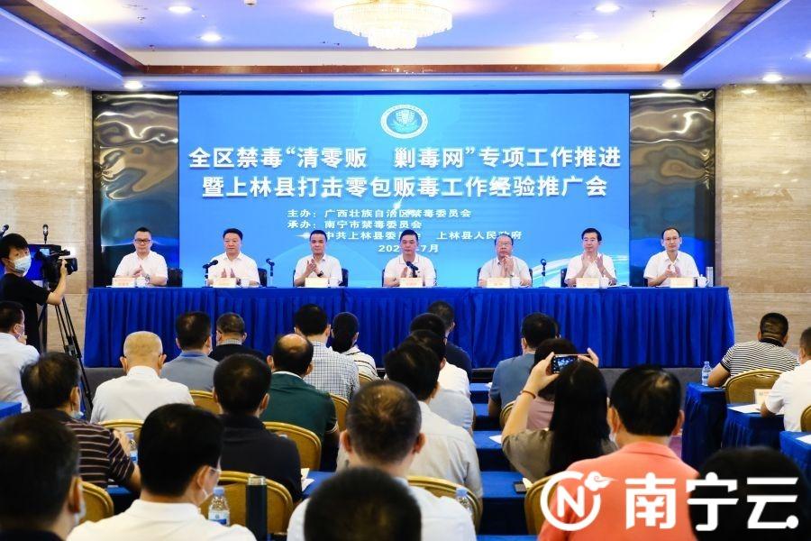 广西上林新闻最新信息，多维度探讨与深度解读