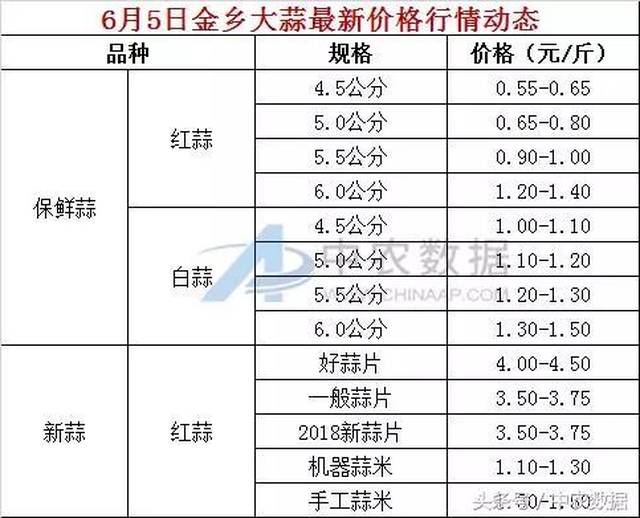 苍山大蒜今日价格揭秘，一颗蒜如何引领你走向自信与成就之路？
