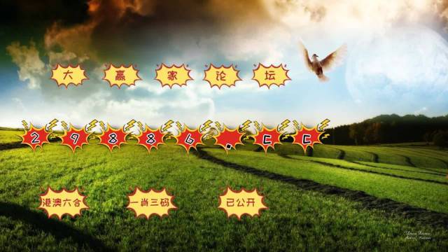 ＂4949澳门今晚开奖＂的：专业解读评估_共享版8.73
