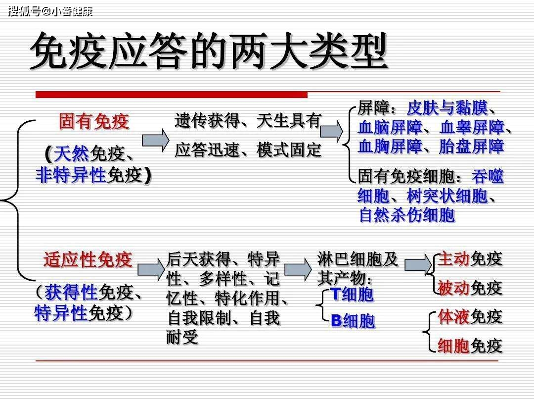 ＂香港免六台彩图库＂的：安全设计解析说明法_月光版3.40