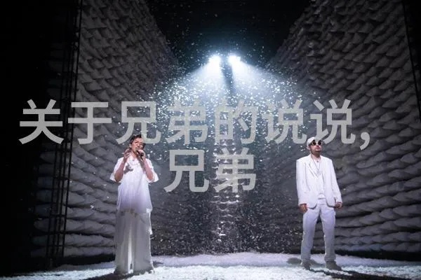 2025兄弟日常趣事大揭秘，最新说说分享